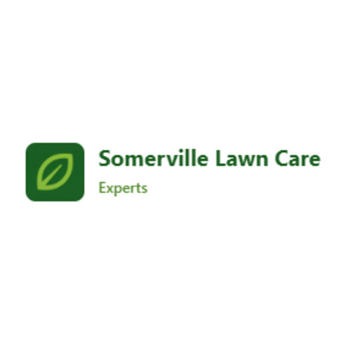 Lawn Care in Somerville